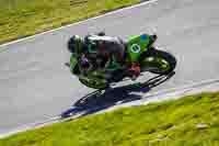 Lower Group Green Bikes